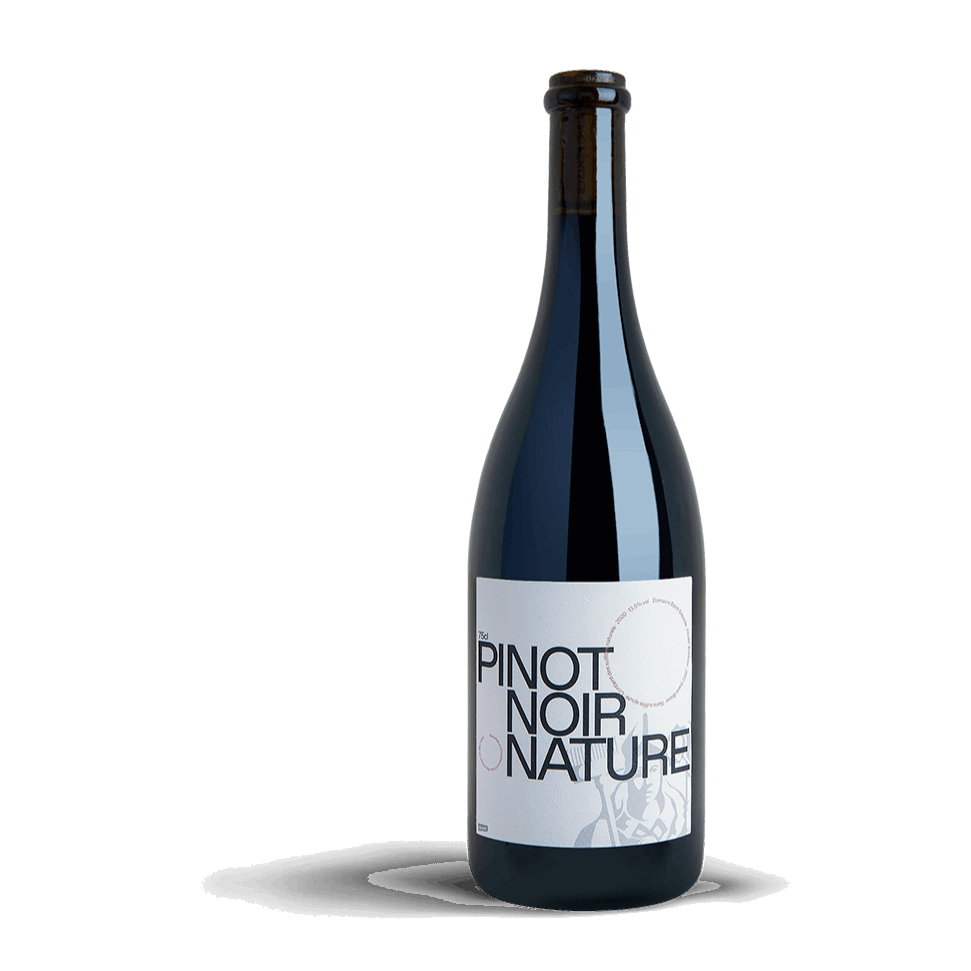SAINT-SÉBASTE - Pinot Noir Nature 2022